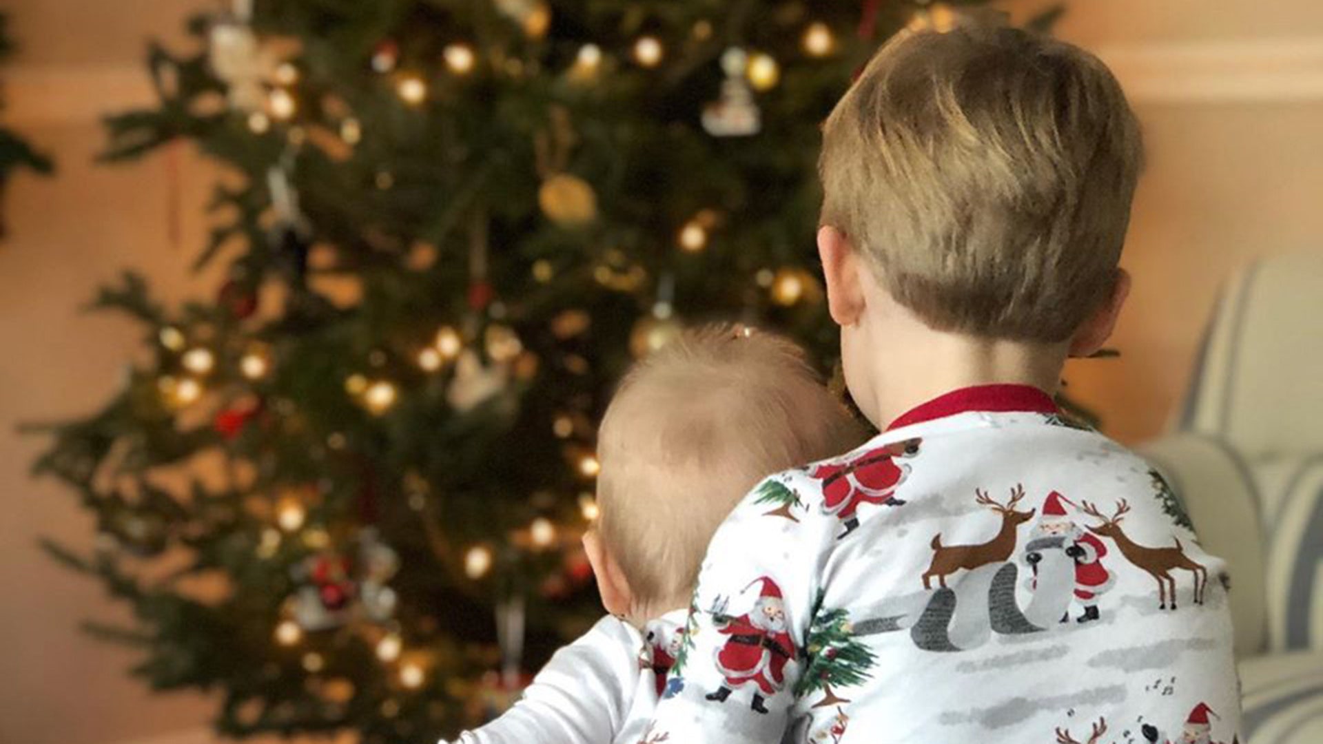 Merry Christmas Fox News! Our grandsons are bringing us the spirit of Christmas with childlike wonder from Massachusetts. "Nicky, look at our tree!" We hope everyone is healthy and enjoying the many blessings of a joyful and peaceful season. The Taillon Family Tom and Karen Taillon Irvine, CA 92612