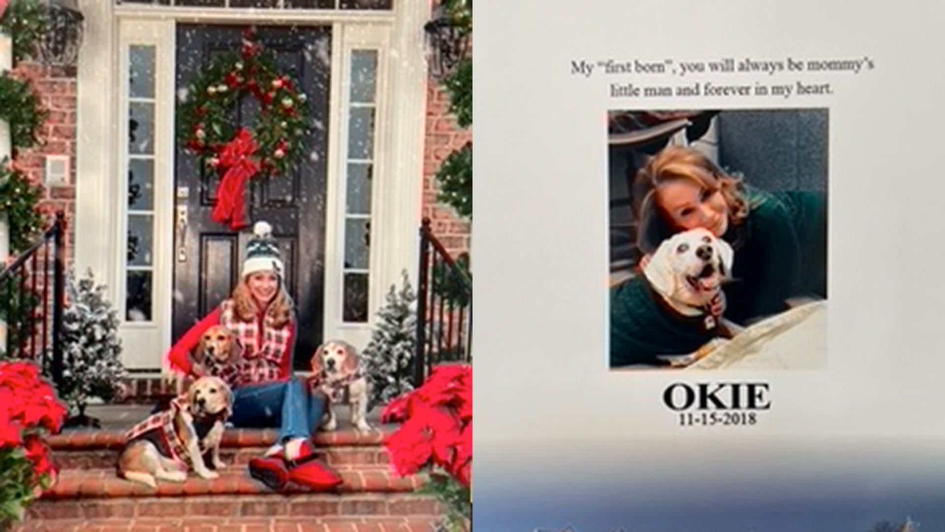 Seasons Greetings to OUTNUMBERED and the FIVE! Every year I have my Christmas card photo taken at home with my "children"…rescued senior beagles! While the front of the card changes, the back remains the same….remembering Okie. They are not as well behaved as Jasper 😊….but I am still a very proud pet parent to my boys! Merry Christmas, Happy Hanukkah, Happy Kwanzaa and a Happy and HEALTHY New Year to all! Ike, Oscar, Zeus and Katrina