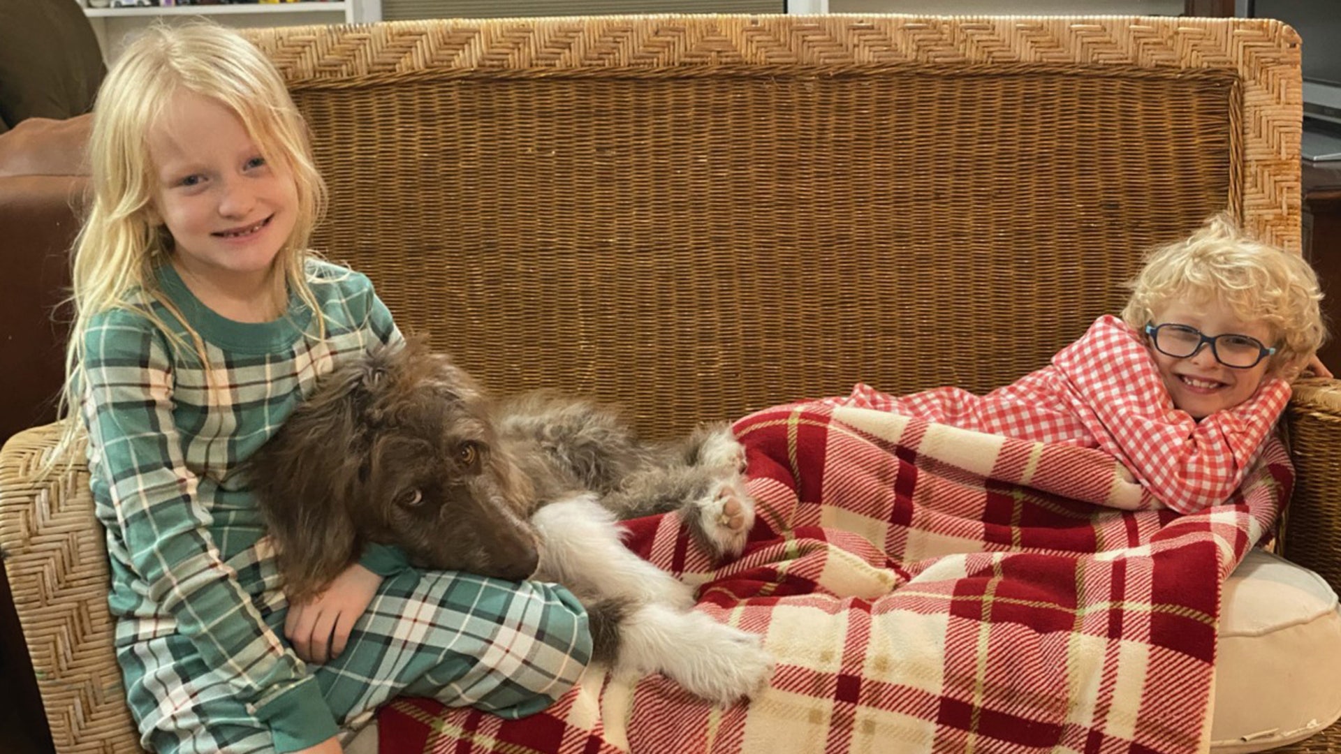 These are our 7 year old twins, Cooper and Callie. We have been quarantining since March due to my husband’s underlying health issues. This is our covid puppy, Ozzy, which means "divine protector." He has brought us so much joy, companionship and love when we have needed it most!