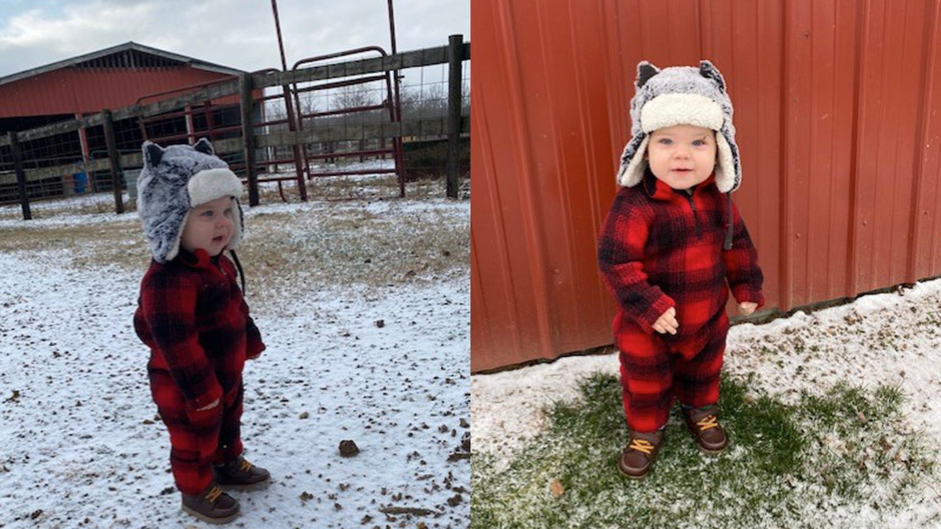 Briar, 1 year old, enjoying his first White Christmas on the farm in Kentucky.