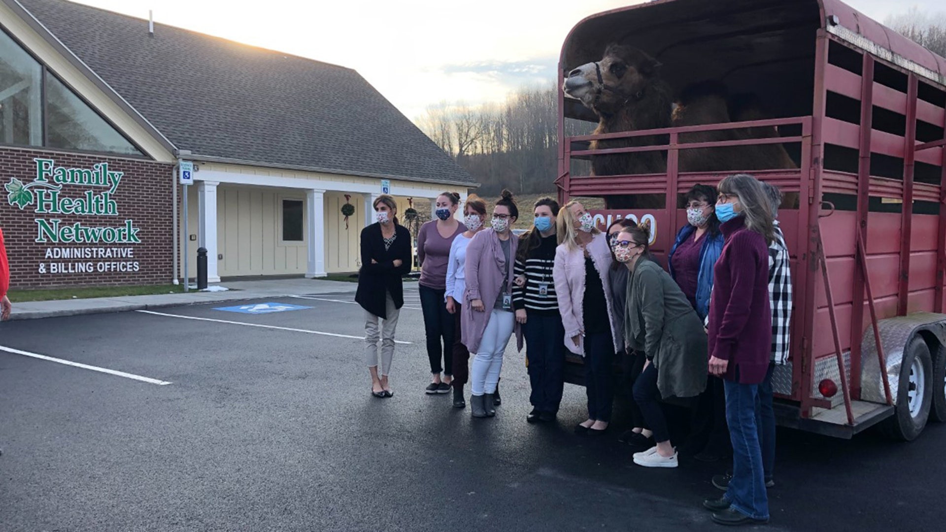 My father owns a Bactrian camel by the name of Achoo. We recently took him to various essential businesses, first responders and our local hospital in Cortland, NY to spread some Christmas cheer!