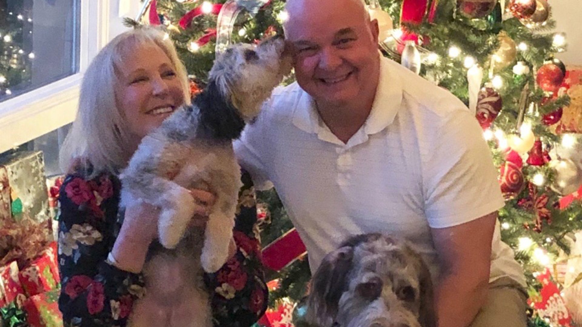 This is a pic of myself and wife Terri, and our two Australian Sheppard’s Murphy (sitting) and Charlie giving a big Christmas kiss.