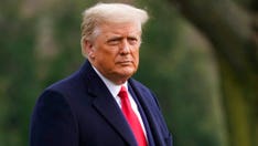 Trump extends restrictions on work visas, says coronavirus pandemic still disrupts 'American livelihoods'