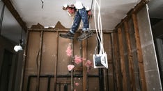 Hidden in the walls: The wild things people found in their homes in 2020