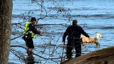 Police rescue pet goat from near-freezing water in Maine after it flees vet's office