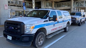 Chicago boy, 15, charged in beating, burning death of 75-year-old man