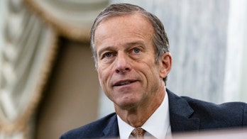 Senate's No. 2 Republican, John Thune, to face primary challenge