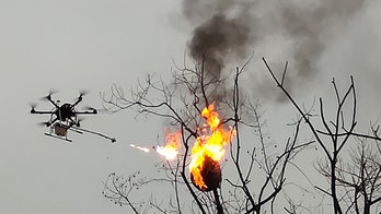 China flamethrower drone burns wasp nests