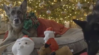President-elect Joe Biden’s dogs wish Americans a Merry Christmas