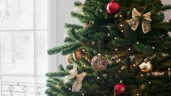 Are you allergic to your Christmas tree?