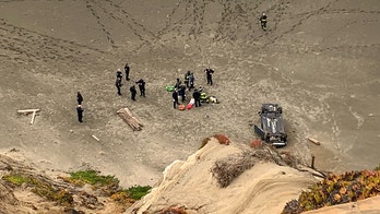 Vehicle plunges off San Francisco cliff, driver 'miraculously' survives: fire department