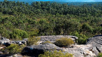 Mom, 38, falls to her death while posing for photo in Australia: report