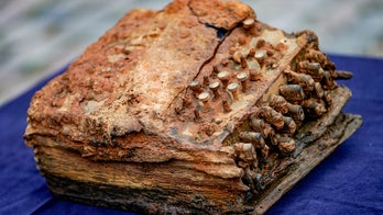 Rare WWII Nazi Enigma machine, used to send secret messages, discovered