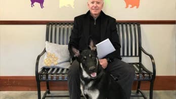 Biden battle over presidential pets shows relations with Secret Service are going to the dogs