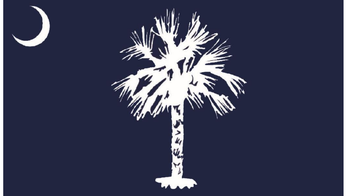 South Carolina debuts new state flag and the public hates it
