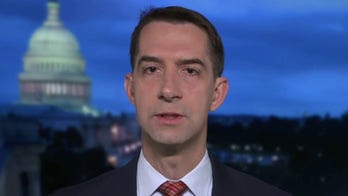 Tom Cotton: Hunter Biden's taxes are 'least damaging' part of probe into China dealings