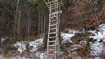 Alabama man dies after falling from tree stand in 'heartbreaking' hunting accident, police say