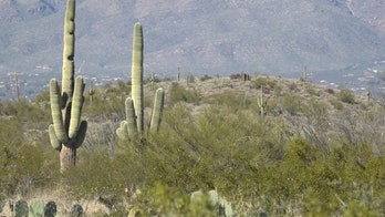 Arizona’s migrant flood captured on hidden trail cameras