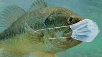 Pennsylvania asks fishermen to stop tossing masks in water