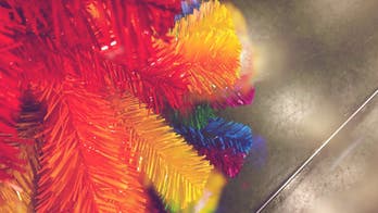 Misleading rainbow Christmas tree ads disappoint customer expectations
