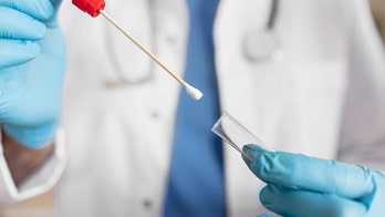 Scientists identify over 12,000 variants that determine height