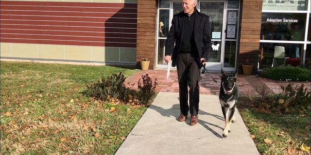 FILE - This Nov. 16, 2018, file photo provided by the Delaware Humane Association shows Joe Biden and his newly adopted German Shepherd Major, in Wilmington, Del.  (Stephanie Carter / Delaware Humane Association via AP)
