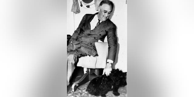 In this 1939, file photo President Franklin D. Roosevelt pets Fala, his Scottish terrier in Washington. (AP Photo)