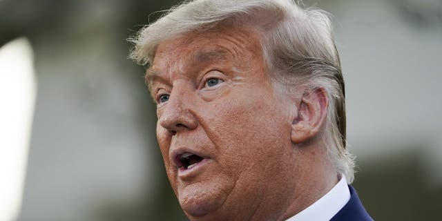 Then-President Donald Trump speaks in the Rose Garden of the White House, in Washington. (AP Photo/Evan Vucci, File)