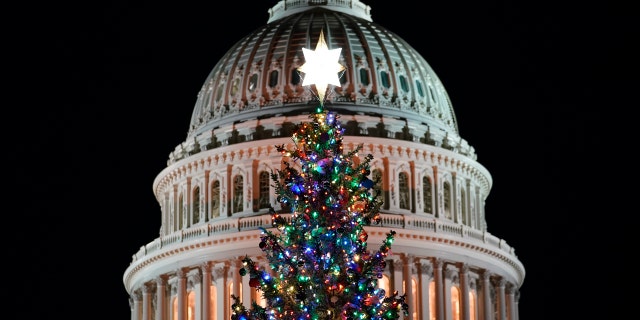 Il 2020 NOI. Capitol Christmas Tree is lit after a ceremony on the West Front of Capitol Hill in Washington, with House Speaker Nancy Pelosi of Calif., mercoledì, Dic. 2, 2020. (AP Photo / Susan Walsh)