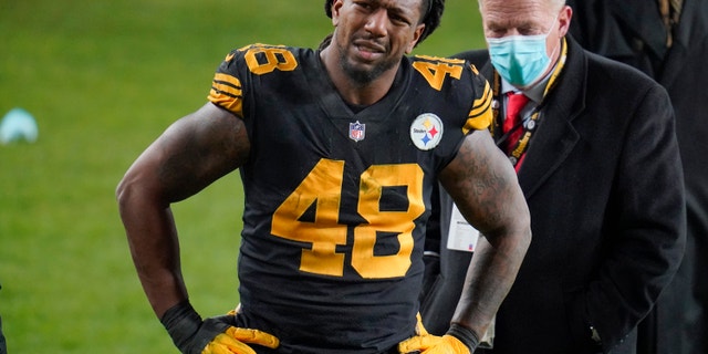 Then-Pittsburgh Steelers outside linebacker Bud Dupree grimaces as he walks on the sideline after being injured playing against the Baltimore Ravens during an NFL football game Wednesday, Dec. 2, 2020. (AP Photo/Gene J. Puskar)
