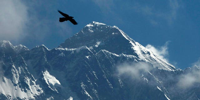 In this May 27, 2019, file photo, a bird flies with Mount Everest seen in the background from Namche Bajar, Solukhumbu district, Nepal. 