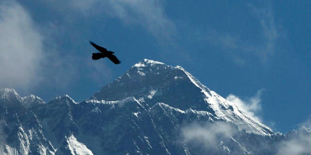 A bird flies with Mount Everest seen in the background from Namche Bajar, Solukhumbu district, Nepal. (AP Photo/Niranjan Shrestha)