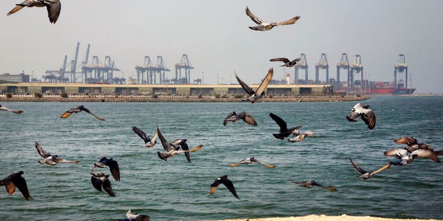 FILE - In this Oct. 11, 2019, file photo, seagulls fly in front of the Red Sea port city of Jiddah, Saudi Arabia. An explosion rocked a ship off Saudi Arabia's port city of Jiddah on the Red Sea, authorities said Monday, Dec. 14, 2020, without elaborating. (AP Photo/Amr Nabil, File)
