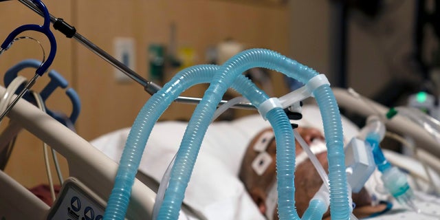 In this Nov. 19, 2020 file photo, ventilator tubes are attached a COVID-19 patient at Providence Holy Cross Medical Center in the Mission Hills section of Los Angeles. (AP Photo/Jae C. Hong, File) 