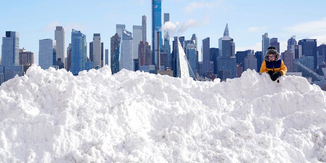 Snowstorm 2020 new york 