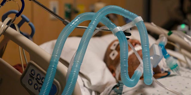 FILE: Ventilator tubes are attached to a COVID-19 patient at Providence Holy Cross Medical Center in the Mission Hills section of Los Angeles.