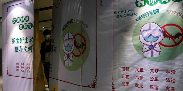 A worker wearing a mask peeps out behind construction barrier with a notice depicting a bat and advocating for people not to eat wild animals at the airport in Kunming in southern China's Yunnan province on Thursday, Dic. 3, 2020.