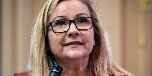 Virginia state Senator Amanda Chase (R-11) at work in the statehouse, on February, 20, 2019 in Richmond, VA. (Photo by Bill O'Leary/The Washington Post via Getty Images)