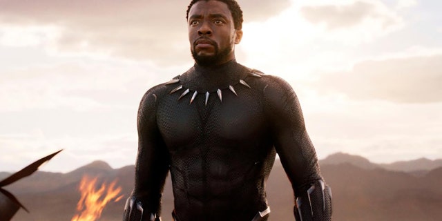 The late Chadwick Boseman took on the role of King T'Challa, or the Black Panther.