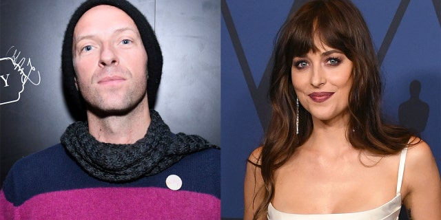 Dakota Johnson was set to appear on a virtual panel and her boyfriend, Chris Martin, seemingly had to help her with technical difficulties.