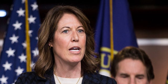 WASHINGTON, DC - JANUARY 29: Rep. Cindy Axne (D-IA) speaks during news conference discussing the "Shutdown to End All Shutdowns (SEAS) Act" on January 29, 2019 in Washington, DC. Also pictured is Rep. Dean Phillips (D-MN). (Photo by Zach Gibson/Getty Images)