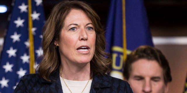 WASHINGTON, DC - JANUARY 29: Rep. Cindy Axne (D-IA) speaks during news conference discussing the "Shutdown to End All Shutdowns (SEAS) Act" on January 29, 2019 in Washington, DC. Also pictured is Rep. Dean Phillips (D-MN). (Photo by Zach Gibson/Getty Images)