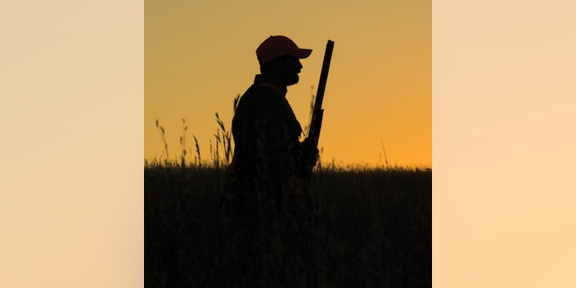 For a number of state wildlife agencies, who bear the responsibility for much of the species management and conservation work in the country and typically receive little in federal funds, the swell of hunters has been an unexpected silver lining amid a bleak year.