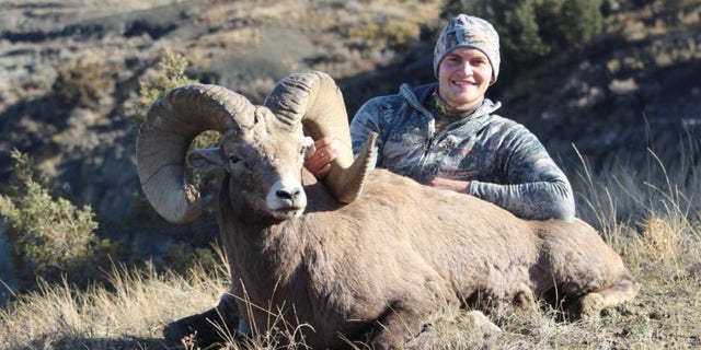 On his first bighorn sheep hunt, David Suda likely scored a state record.