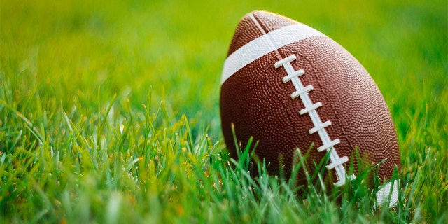 Some sports teams in New York could get a new mascot after a Board of Regents decision Tuesday.