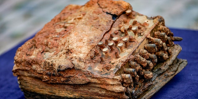 The Enigma cipher machine found in the Baltic Sea is lying on a table in front of the archaeological office of Schleswig-Holstein. The machine was handed over to the office by research diver Huber after its discovery. (Photo by Axel Heimken/picture alliance via Getty Images)