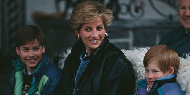 Diana, Princess of Wales (1961 - 1997) riding in a traditional sleigh with Prince William and Prince Harry during a skiing holiday in Lech, Austria, 30th March 1993. 