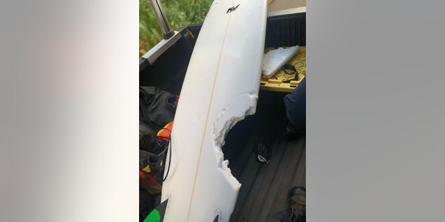 The 56-year-old surfer, from Lahaina, was transferred to a hospital and admitted for surgery.