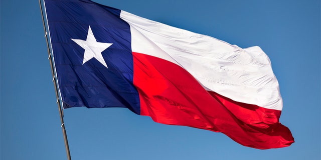 State flag of Texas USA