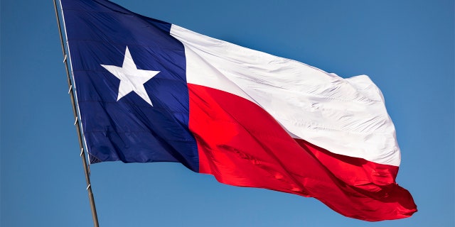 State flag of Texas USA